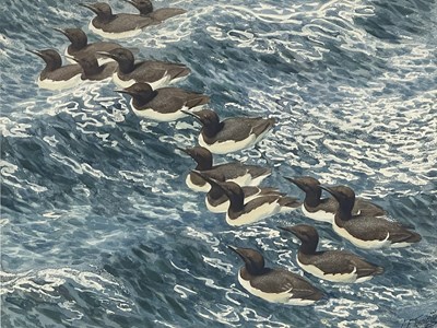 Lot 360 - Charles Frederick Tunnicliffe R.A. (British,...