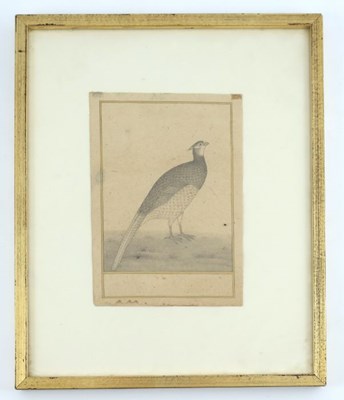 Lot 494 - Indian school (20th century), ornithological...