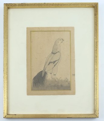 Lot 495 - Indian school (20th century), ornithological...