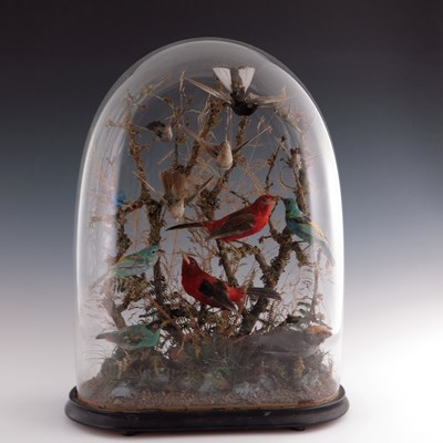 Lot 618 - Taxidermy, a late Victorian display of birds...