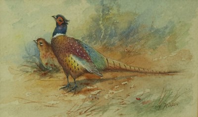 Lot 1007 - James Stinton (Royal Worcester artist)...