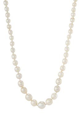 Lot 23 - An early 20th century natural pearl necklace, with gold clasp