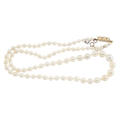 Lot 23 - An early 20th century natural pearl necklace, with gold clasp