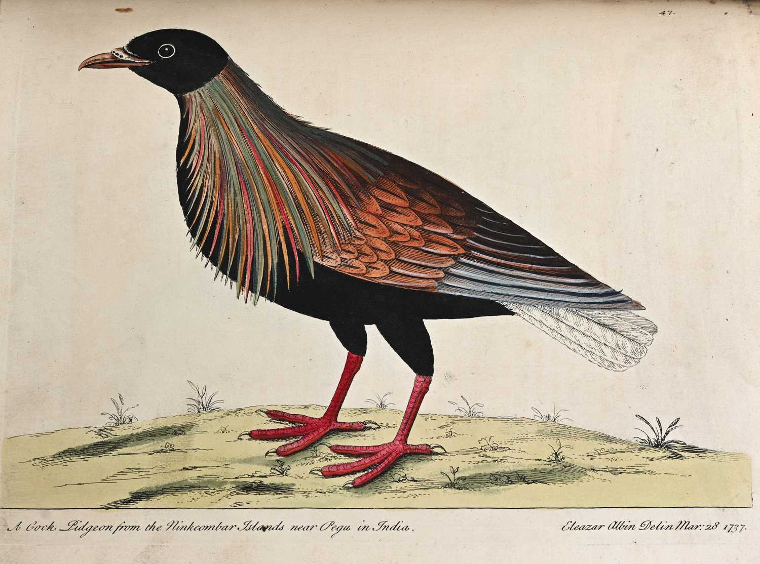 250 - 