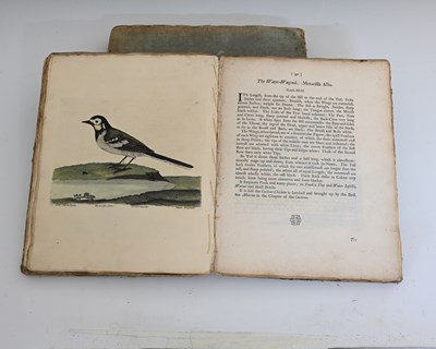 Lot 250 - Albin, Eleazar, A Natural History of Birds,...