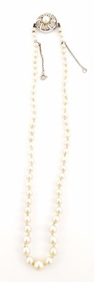 Lot 221 - A graduated cultured pearl single-strand necklace, with white metal clasp
