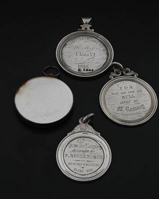 Lot 704 - The Horticultural Society of London, a medal...