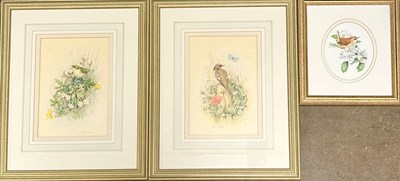 Lot 636 - Janet Whittaker (British, 20th Century), Wren...