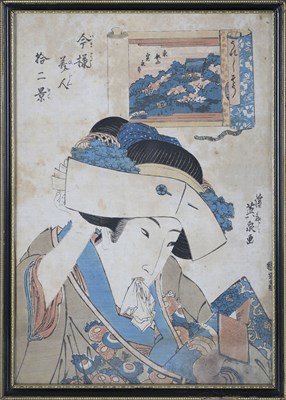 Lot 165 - Japanese School, a collection of twelve colour...
