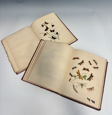 Lot 741 - Westwood, J O, British Moths and their...