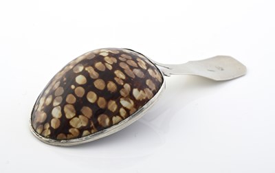 Lot 110 - A George III silver-mounted cowrie shell caddy...