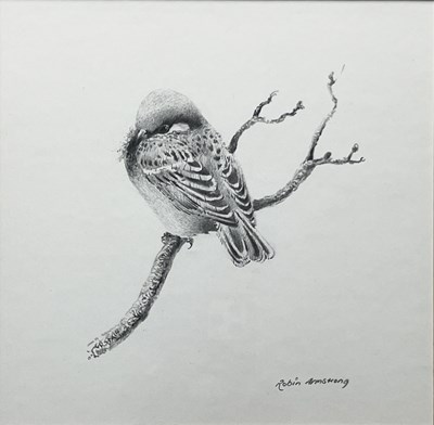 Lot 295 - Robin Armstrong (British, 1947), a bird on a...